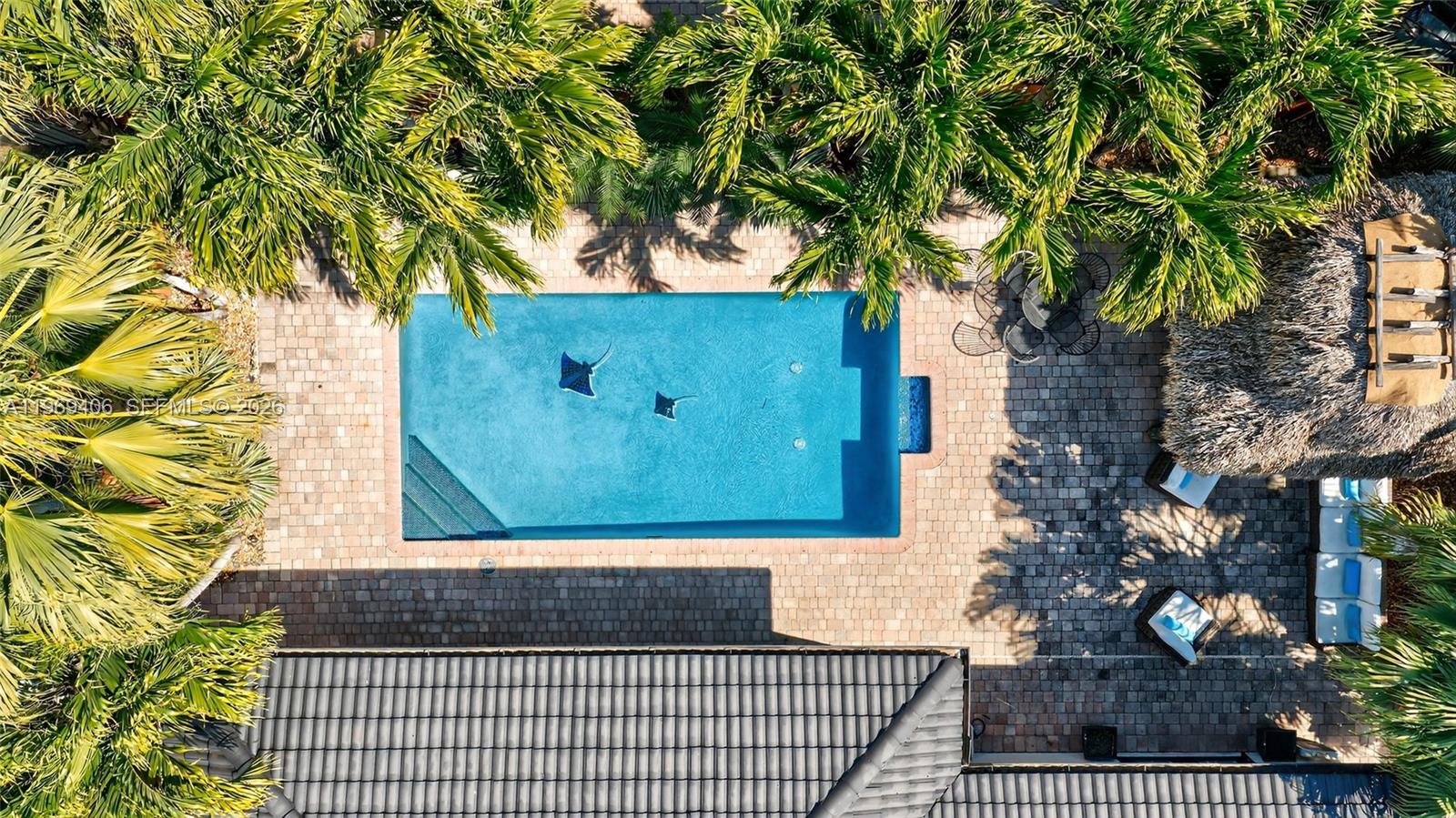 FANTASY REEF - Residential