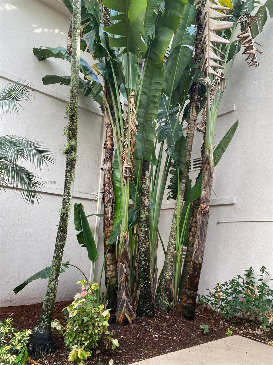 GREENGLADES CONDO I - Residential Lease