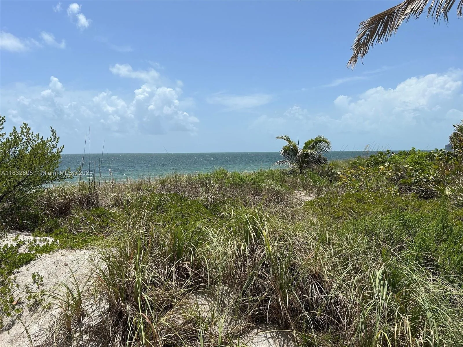 Key Biscayne, Florida 33149, United States, 2 Bedrooms Bedrooms, ,2 BathroomsBathrooms,Residential,Active,163585