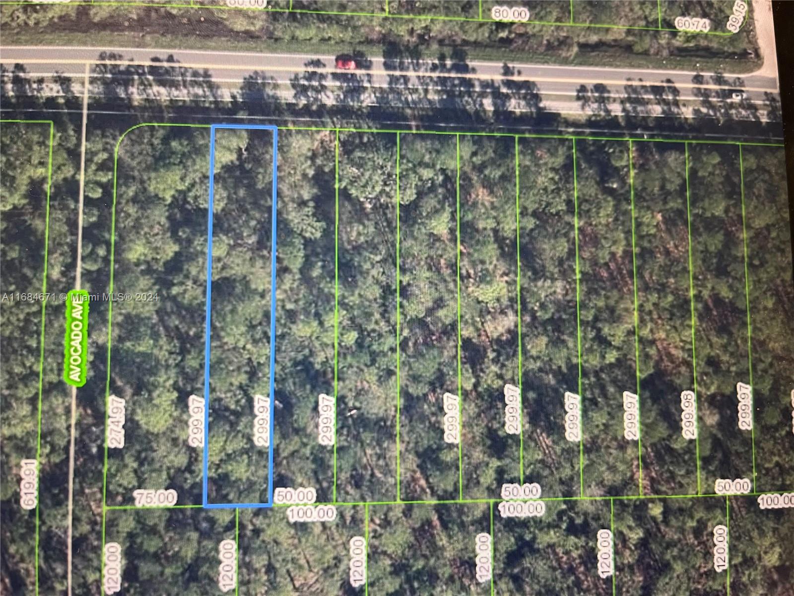 Prime Vacant Lot in Sebring, Florida. Unlock the potential of this prime vacant lot in the charming town of Sebring, Florida! Nestled in the heart of the Sunshine State, this property offers an incredible opportunity for development, perfect for constructing beautiful new homes. Sebring is renowned for its picturesque lakes & serene landscapes, making it a haven for outdoor enthusiasts. With its affordable cost of living and pleasant year-round climate, it's no wonder that Sebring is a favored destination for retirees, families, & anyone looking to enjoy a peaceful lifestyle this lot provides convenient access to urban amenities while maintaining the tranquility of small-town living. Buy this lot individually or in combination w/ the three adjacent lots (2681, 2651, 2637 Hammock Rd)