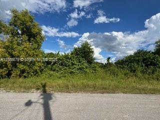LEHIGH ACRES - Land