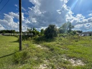 LEHIGH ACRES - Land