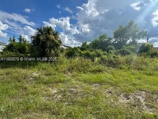 LEHIGH ACRES - Land