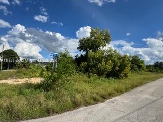LEHIGH ACRES - Land
