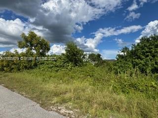 LEHIGH ACRES - Land