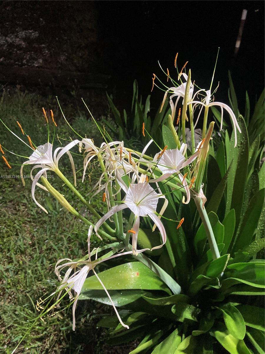 BAYSHORES - Residential