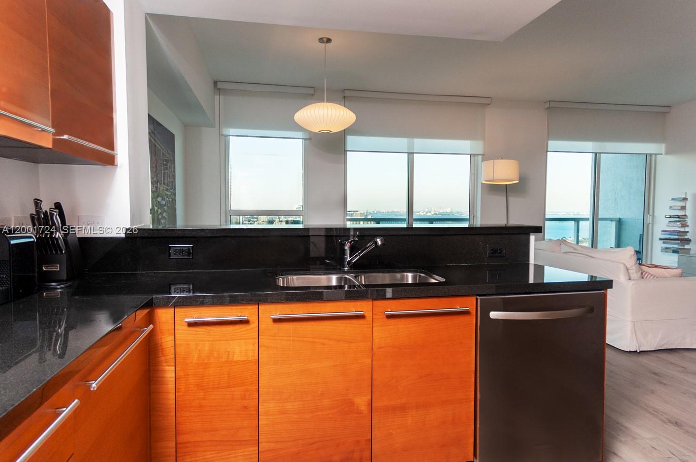 244 Biscayne Blvd 4104