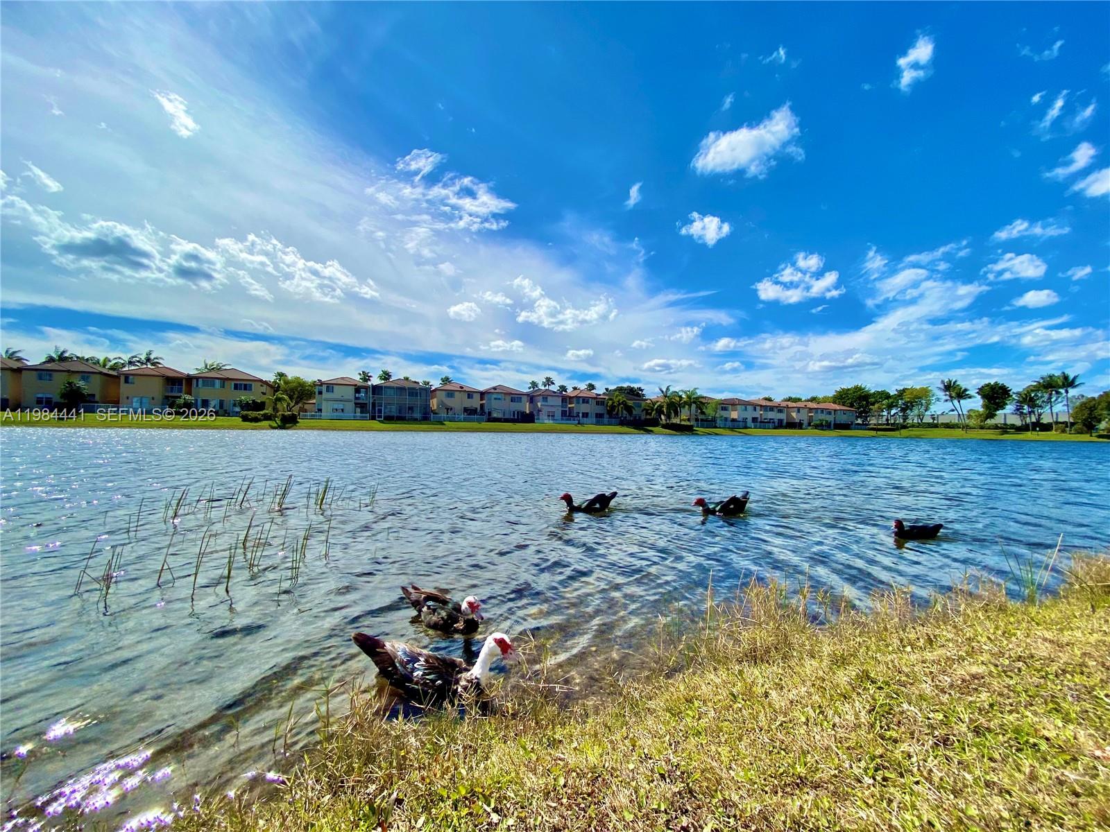 BARBADOS - Residential Lease