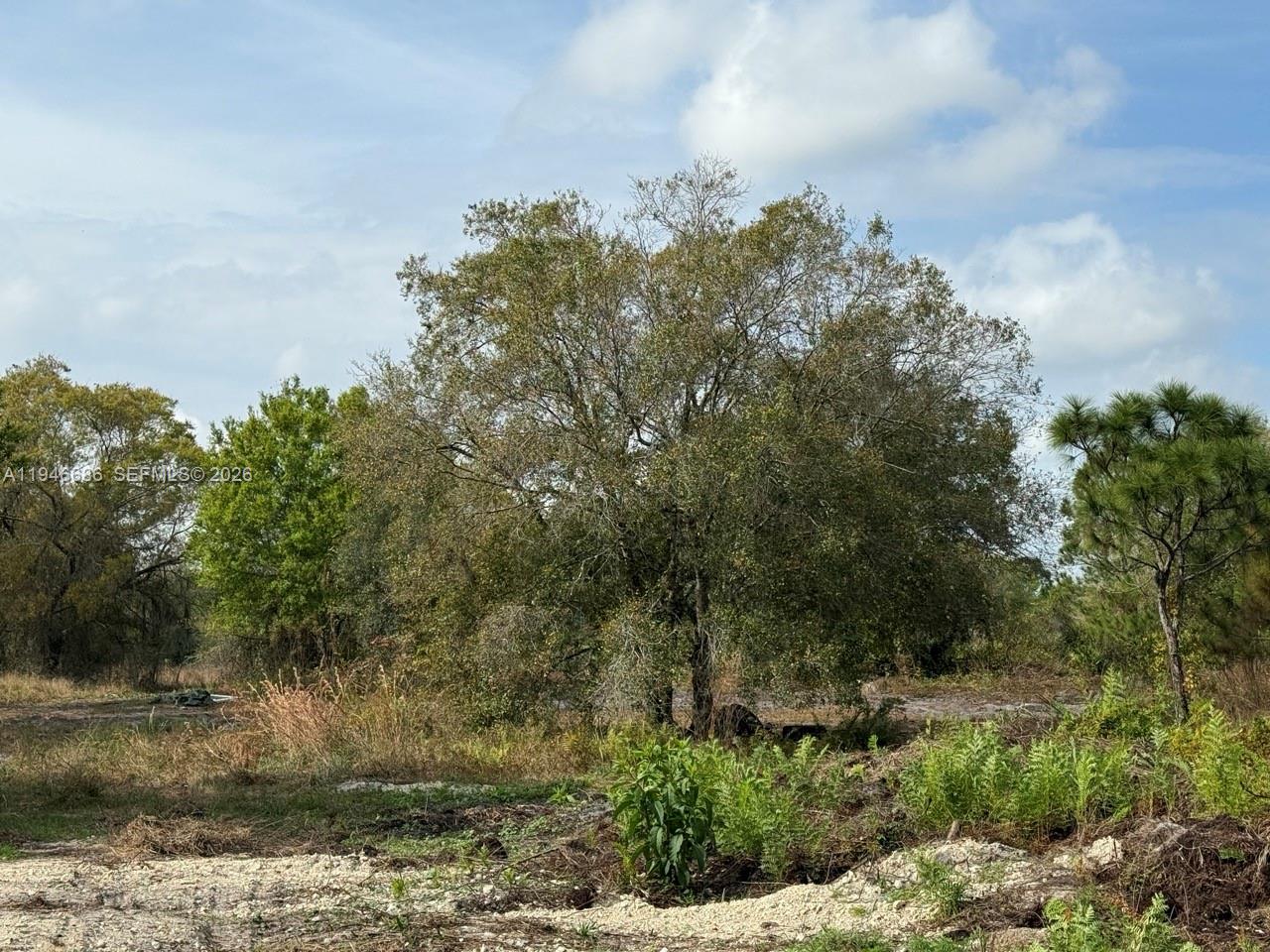 MONTURA RANCH ESTATES - Land