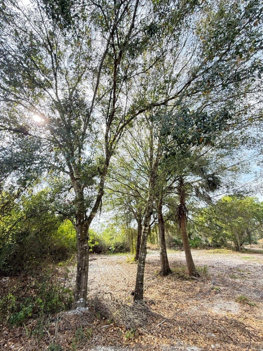 MONTURA RANCH ESTATES - Land