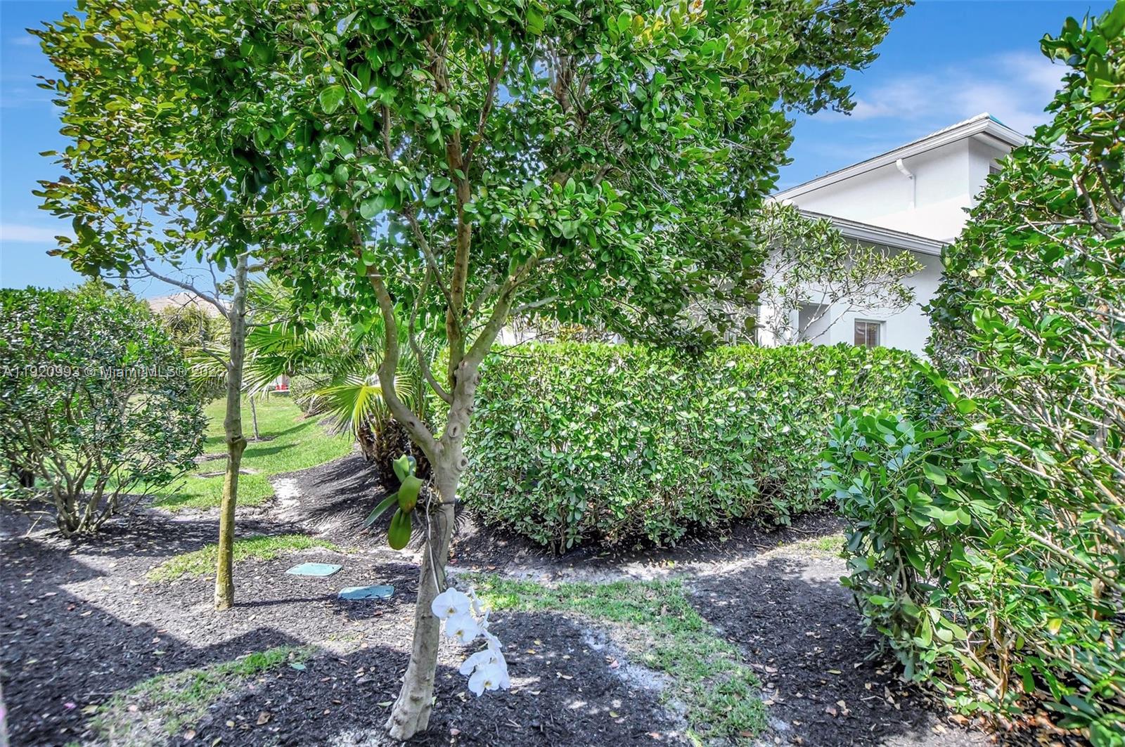 POINTE 100 CONDO - Residential Lease