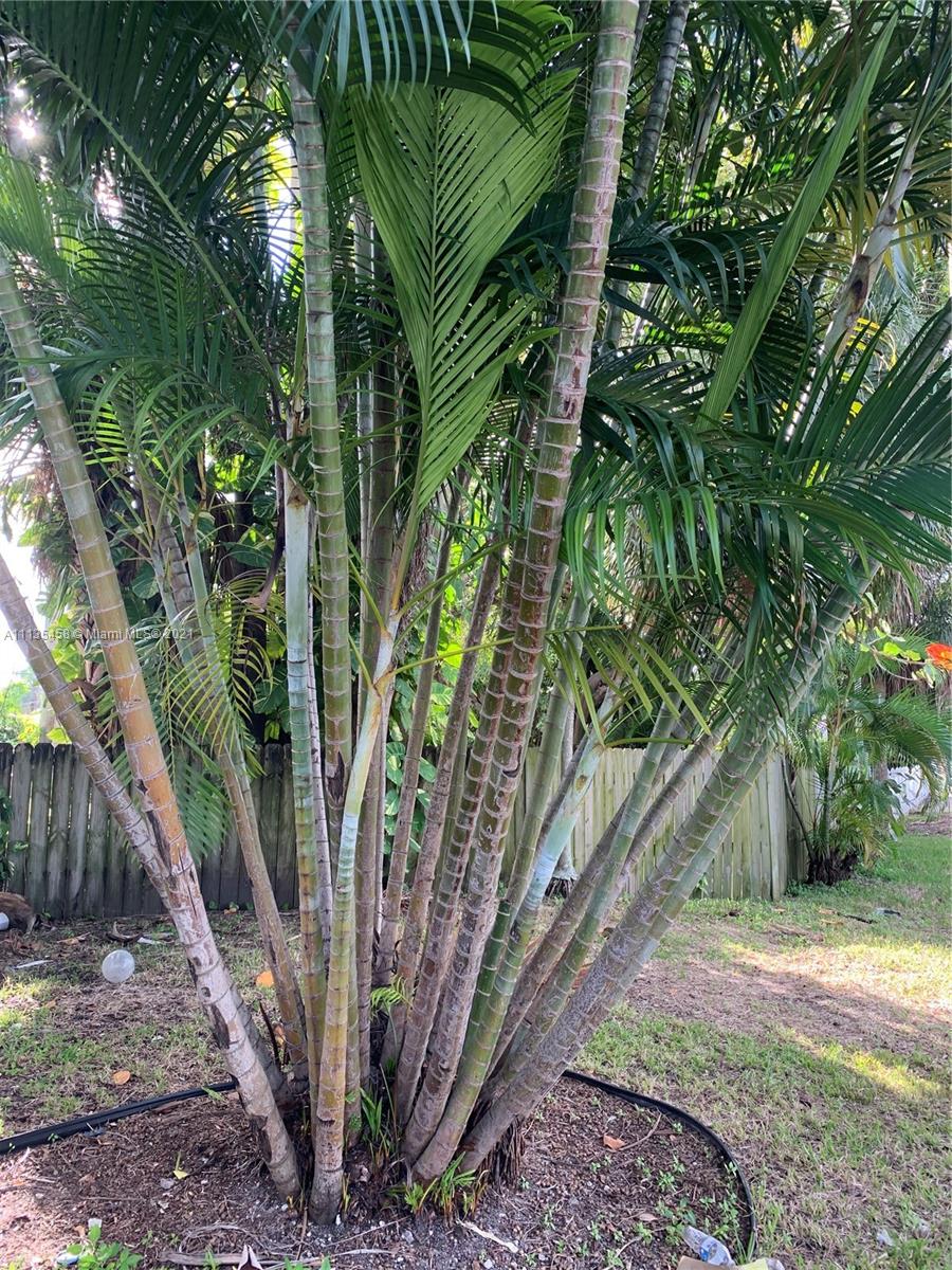 DANIA BEACH SUB - Residential Lease