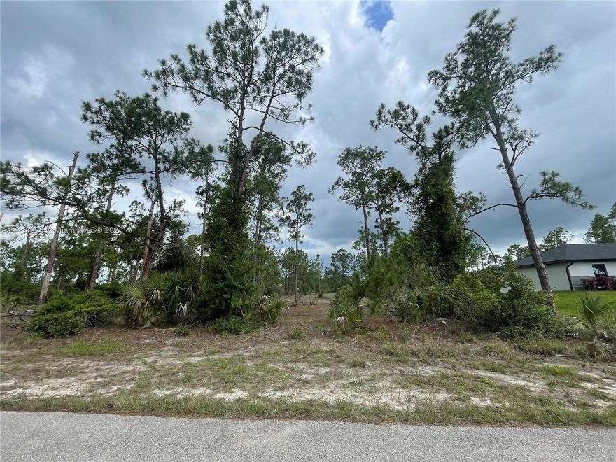 Build your dream home on this beautiful 1/4 acre lot. Mostly cleared and ready for you. Quiet neighborhood with only a few scattered neighbors.
