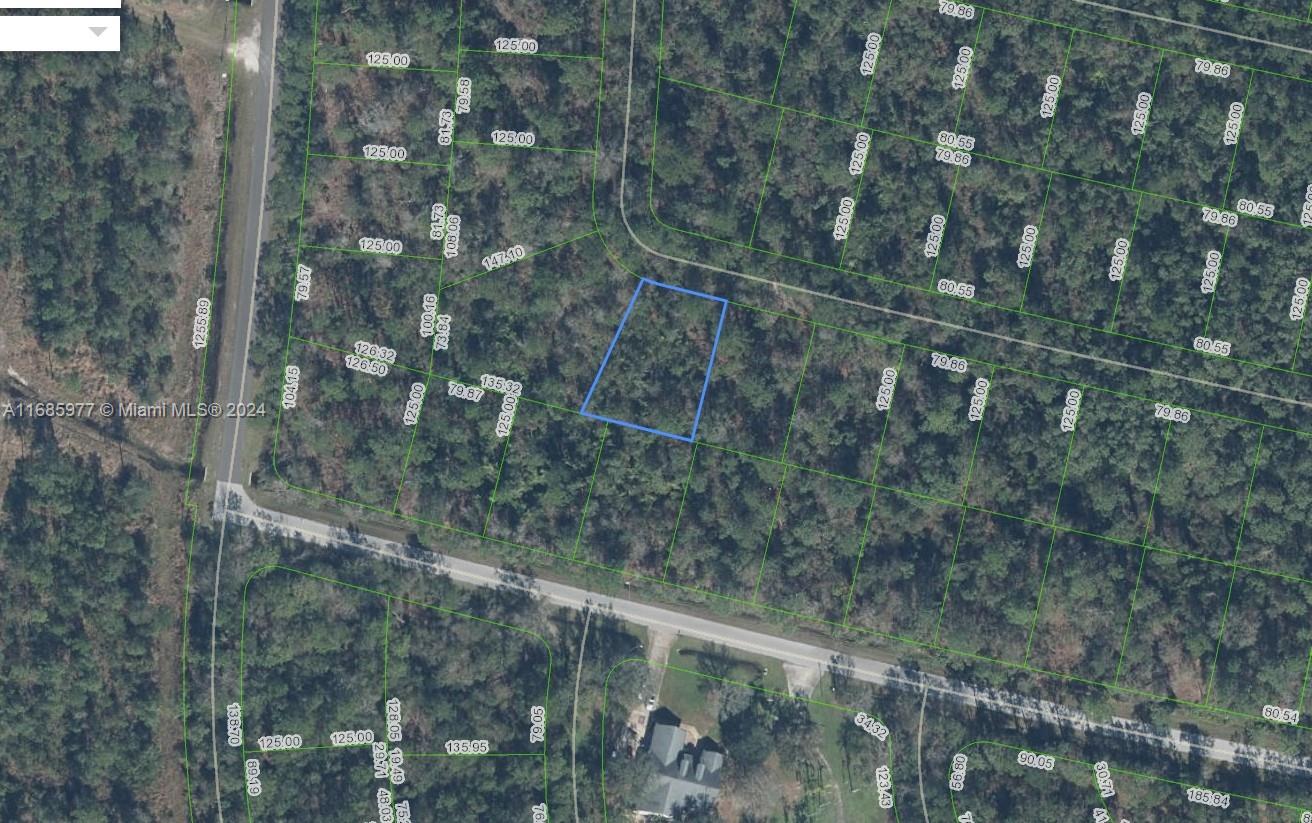 OWNER WILL FINANCE!!! Sun N Lakes development is building 100 acre water and sewage facility 1 lot away! They are planning on building infrastructure on the properties that are closest to the facility first. There is power 1 lots away. Sun N Lakes community, a perfect place to build your dream home in which to raise your kids or retire. The Sun N Lakes community offers 2 18-Hole championship golf courses, restaurant, clubhouse, gym, playground, community pool, splash pad, community center, fitness center, pickle ball, and tennis. Sebring is centrally located 1.5 hours from Disney, 1.5 hours from Tampa and 1.45 hours from Ana Maria Island Beaches. Located close to Advent health and Sun N Lake Elementary. OWNER WILL FINANCE!!! 2K DOWN 336.56 A MONTH FOR 36 MONTHS AT 7% INTREST.