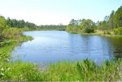 SUN N LAKE EST OF SEBRING - Land