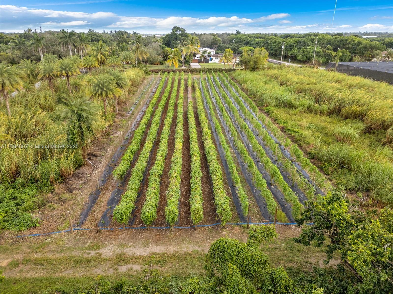 Redland 19.62 AC HOME - Residential