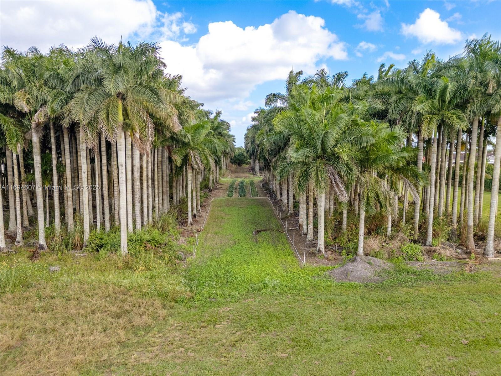 Redland 19.62 AC HOME - Residential