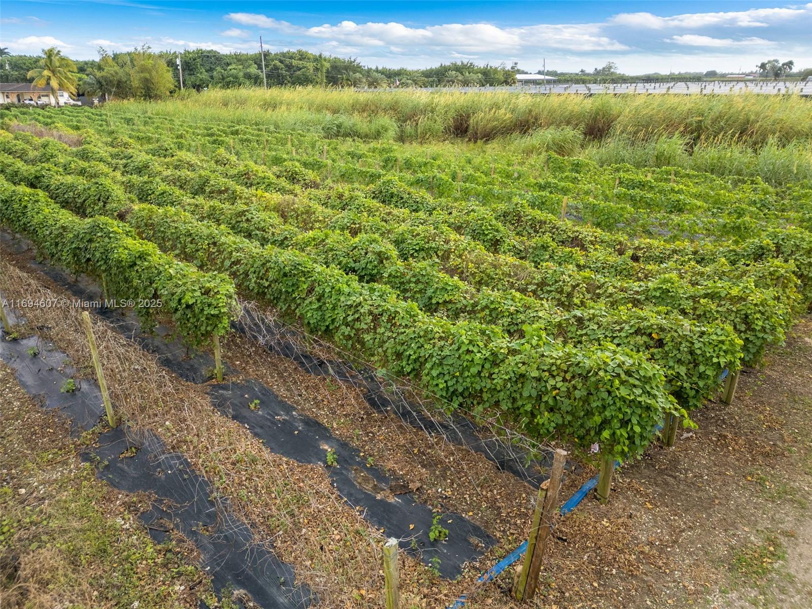 Redland 19.62 AC HOME - Residential
