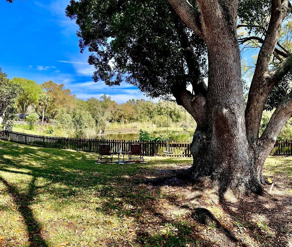 Photo of 15521 Wetstone Drive, Tampa, FL 33613 (MLS # A11993336)