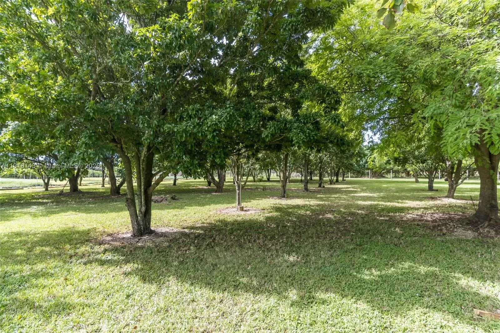 Homestead, Florida 33031, United States, 5 Bedrooms Bedrooms, ,3 BathroomsBathrooms,Residential,Active,246461