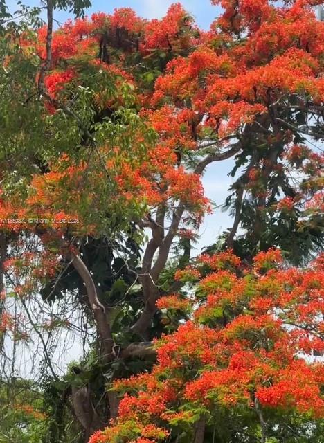 North Redland - Residential