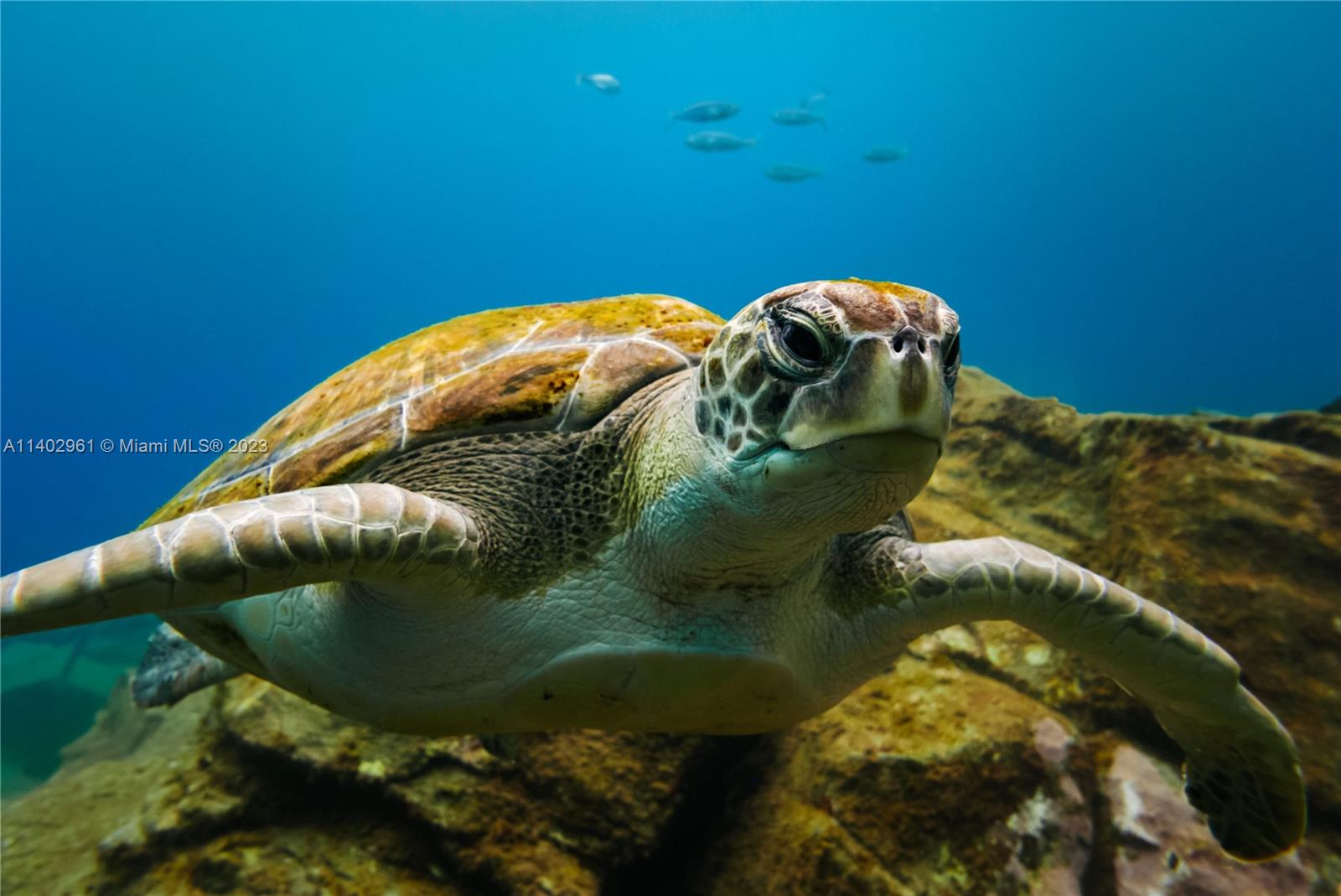 Port Charlotte 52 - Land