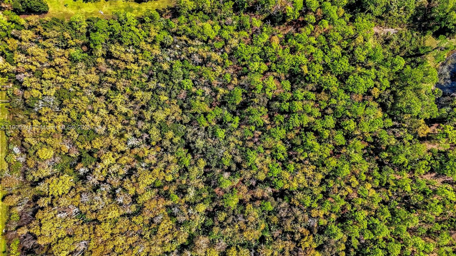 GOLDEN GATE EST UNIT 44 - Land