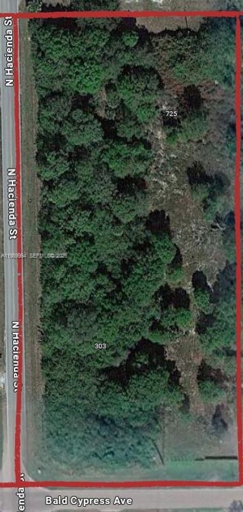 303 Bald Cypress Clewiston FL 33440