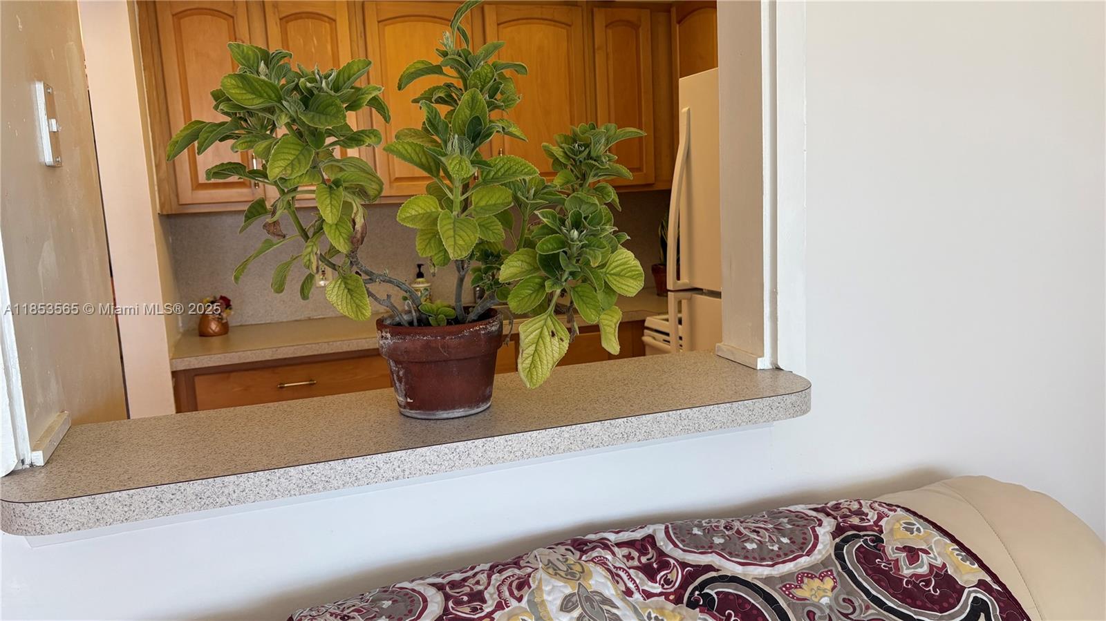 Century Village - Residential