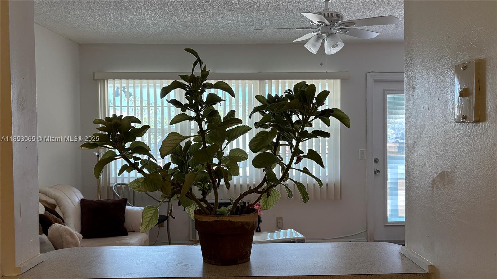 View photos, virtual tours, details... 12 Westbury A 12