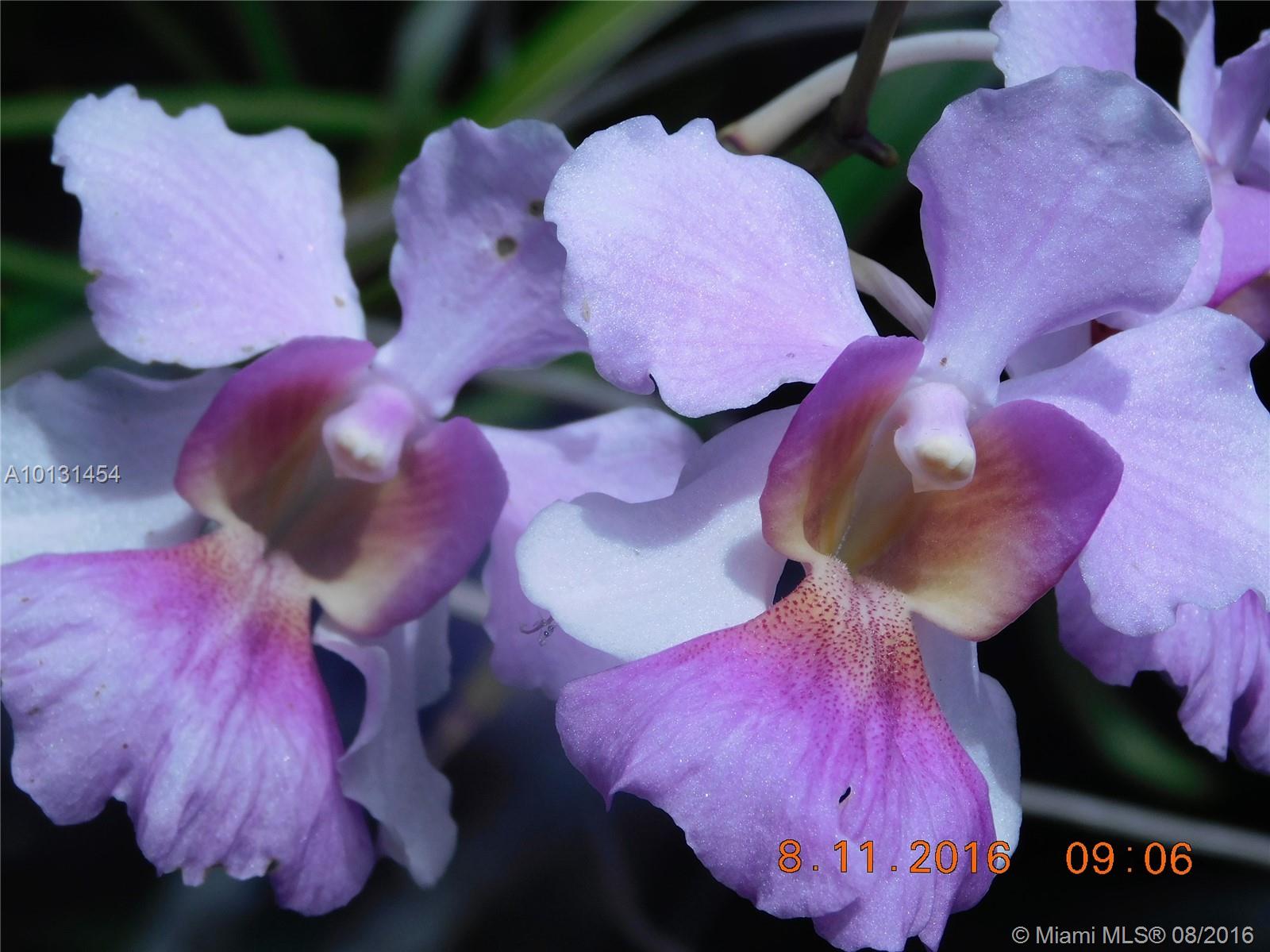 REDLAND 5 ACRE SECLUDED - Residential Lease