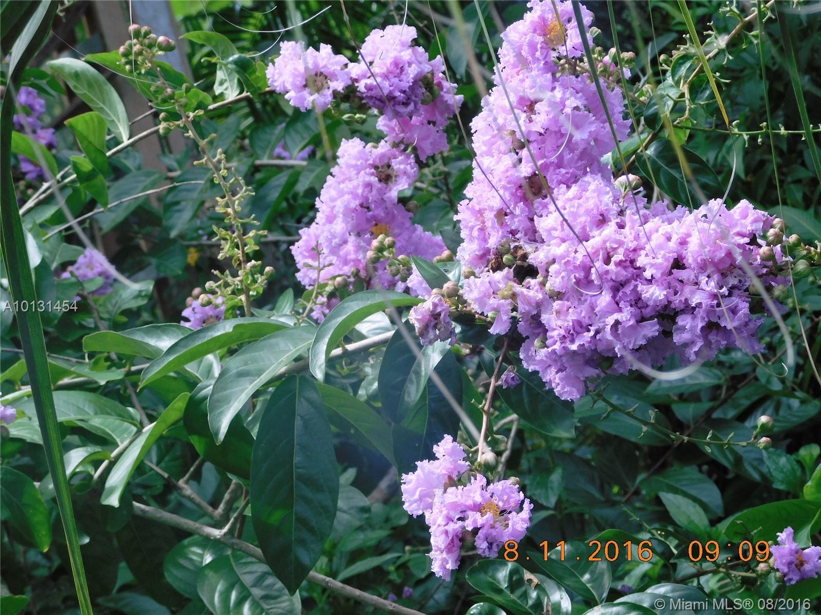 REDLAND 5 ACRE SECLUDED - Residential Lease