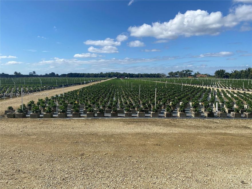 20 ACRES OF LAND BUILDABLE 1 HOME PER 5 ACRE, OPERATING AS A PLANT NURSERY. LEASED TO FARMER WHO WILL STAY OR LEAVE, FROR, AGRI EXEMPTION, TAKE SW 232 ST GOING WEST TO SW 197 AVE, THEN GO SOUTH ON SW 197 AVE FOR APPROXIMATELY 2000 FT , PROPERTY ON RIGHT WITH SIGN ON FENCE.