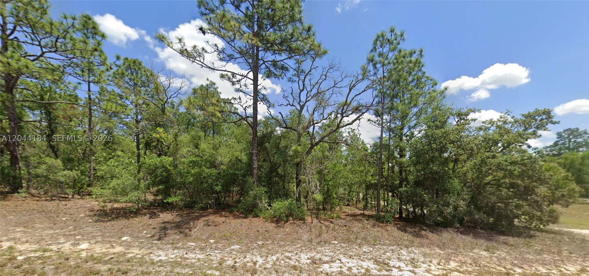 Photo 1 of 1 — 9857 N Lathyrus Ter, Citrus Springs, FL 34433