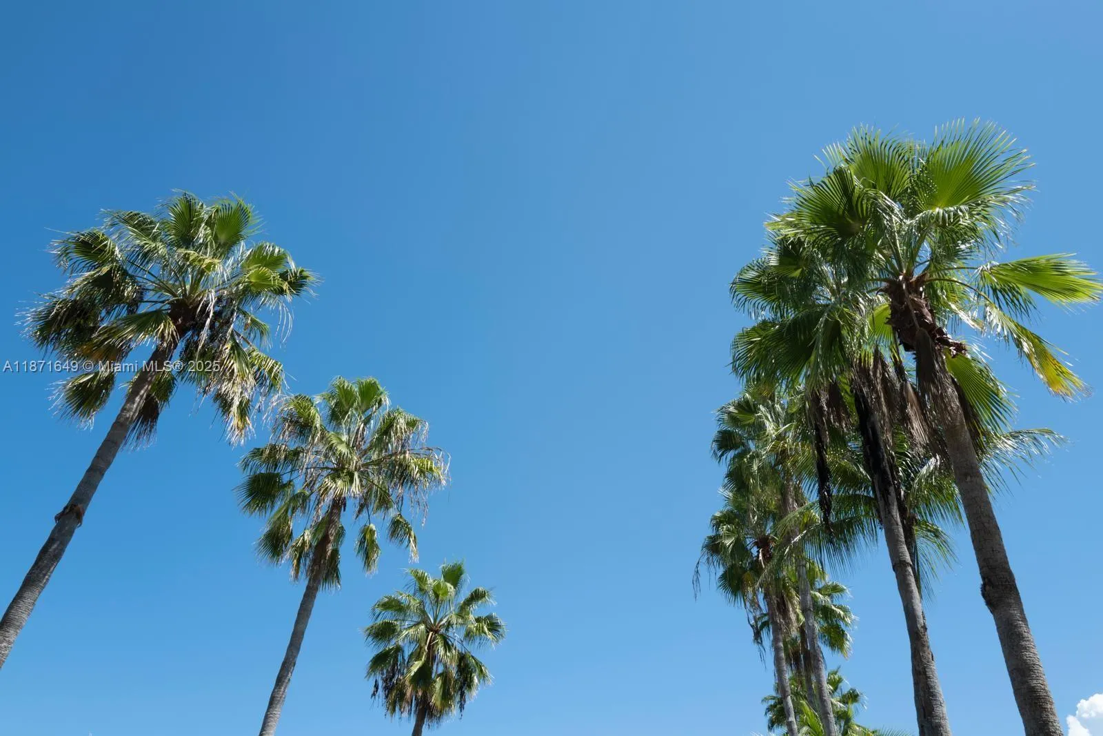 Key Biscayne, Florida 33149, United States, 1 Bedroom Bedrooms, ,1 BathroomBathrooms,Residential,Active,202806