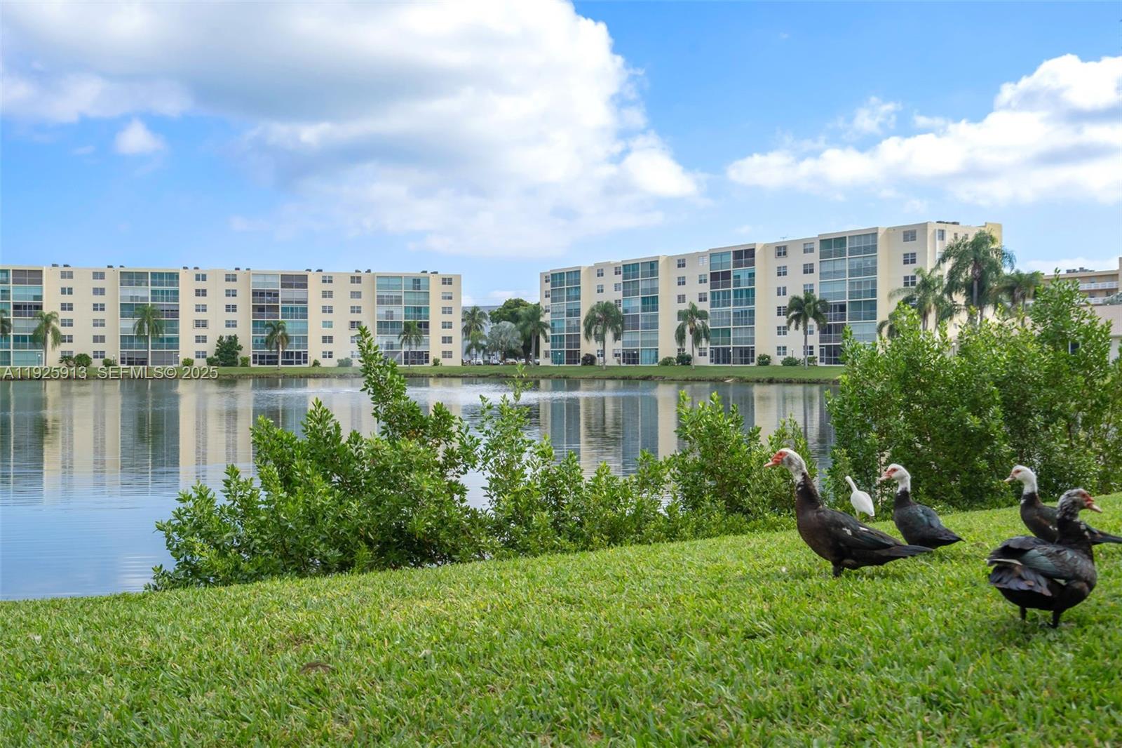 MEADOWBROOK LAKES VIEW CO - Residential