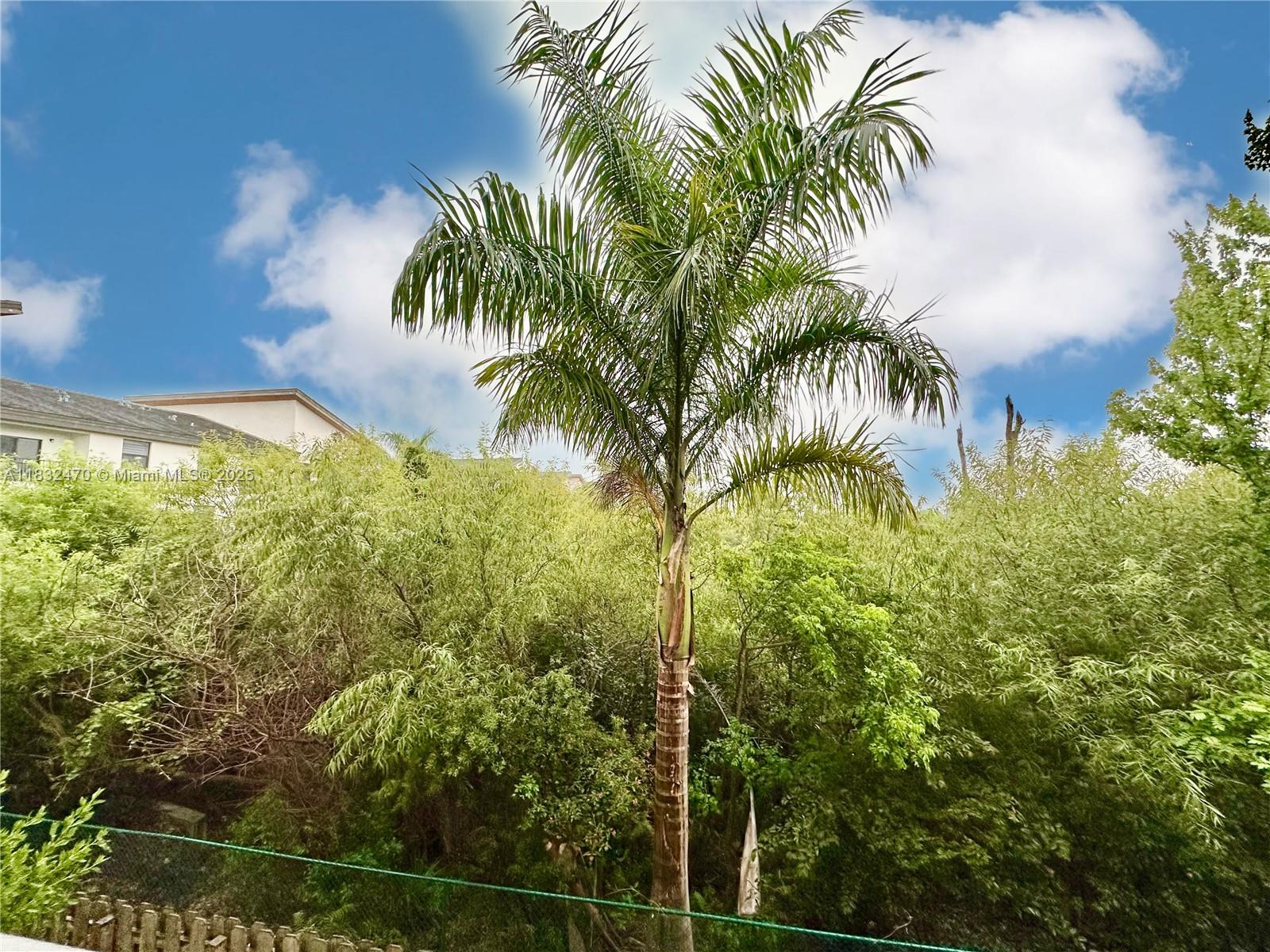 APEX AT PARK CENTRAL COND - Residential