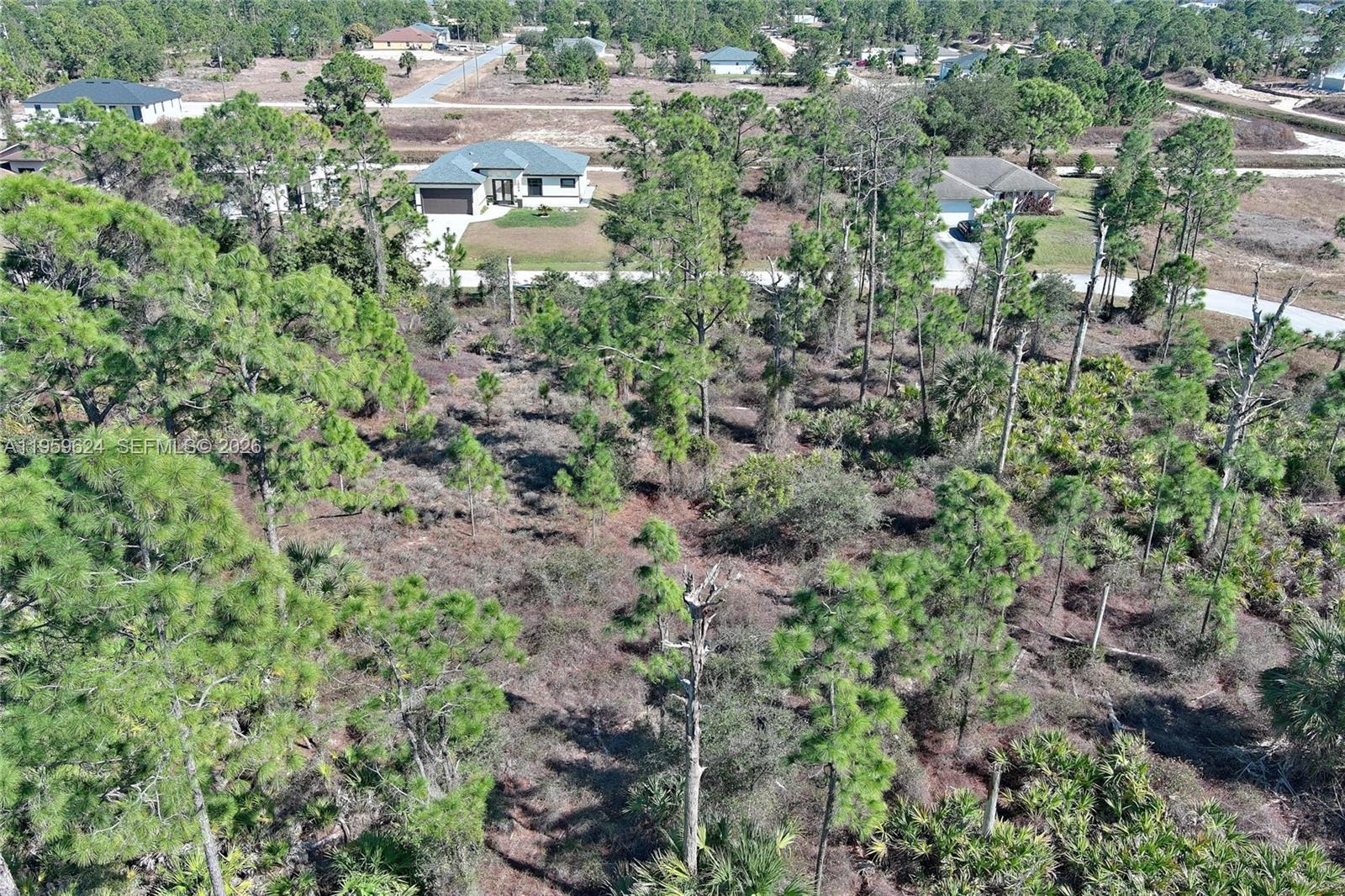 LEHIGH ACRES - Land