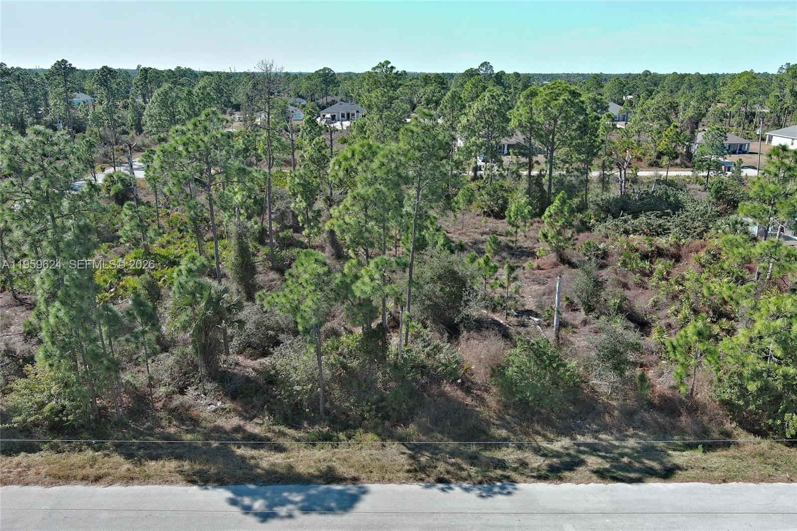 LEHIGH ACRES - Land