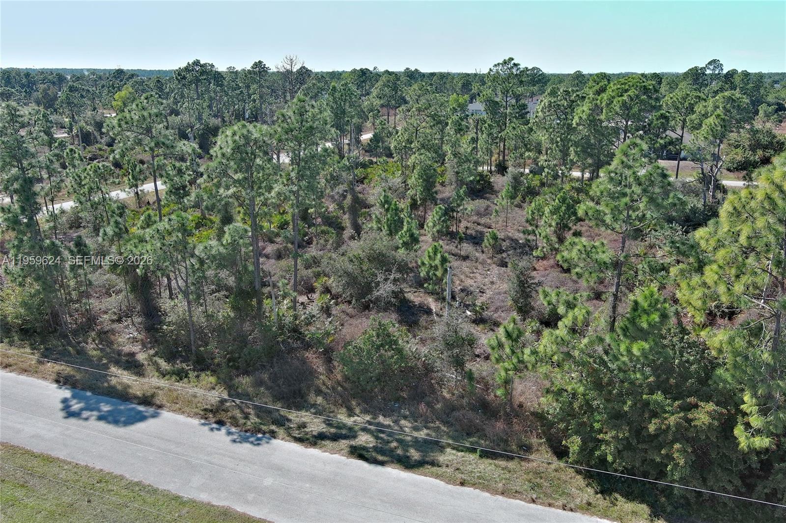 LEHIGH ACRES - Land