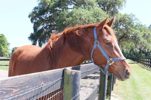 7787 NW 150TH AVE Ocala FL 32668