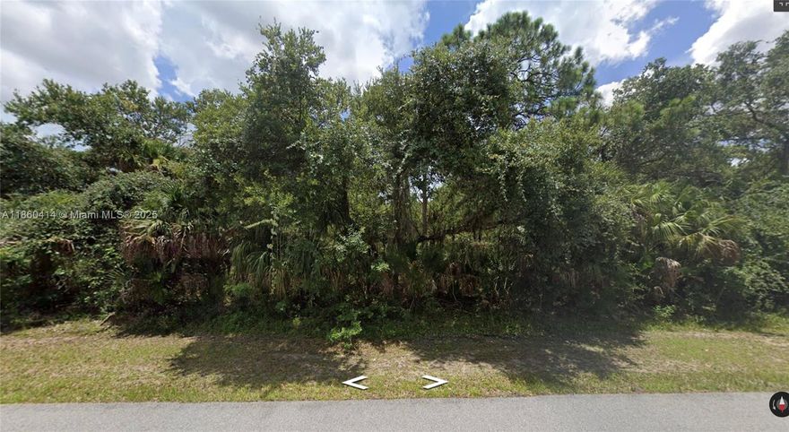 Amazing opportunity to own a big lot with tons of potential. Located in the beautiful calm city of Port Charlotte. About one mile from Cocoplum Village Shopping center near Tammiami trail which contains many restaurants, supermarkets, and department stores. Come turn this vacant lot into your dream home!