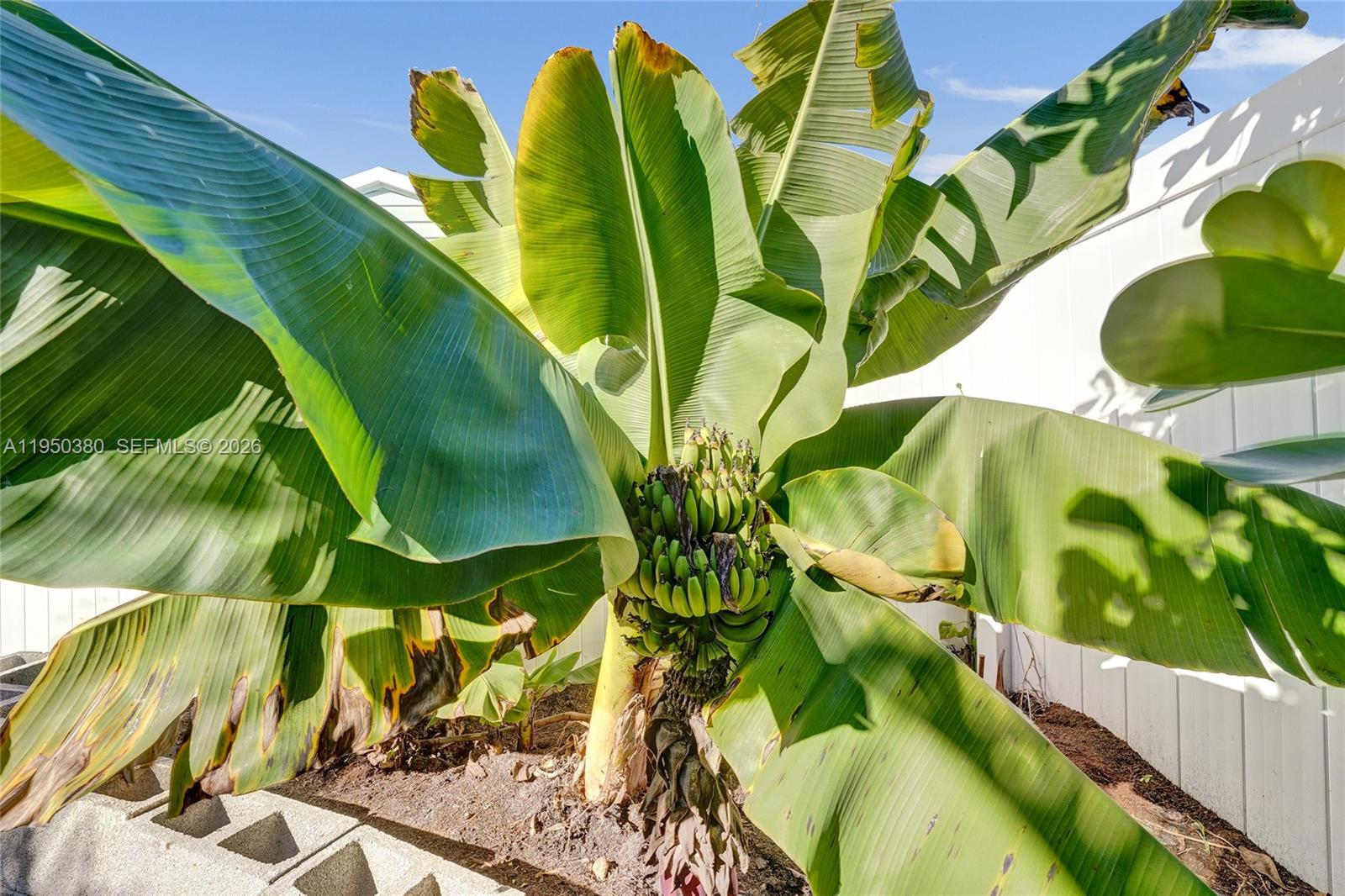 DRIFTWOOD ESTATES NO 9 AM - Residential