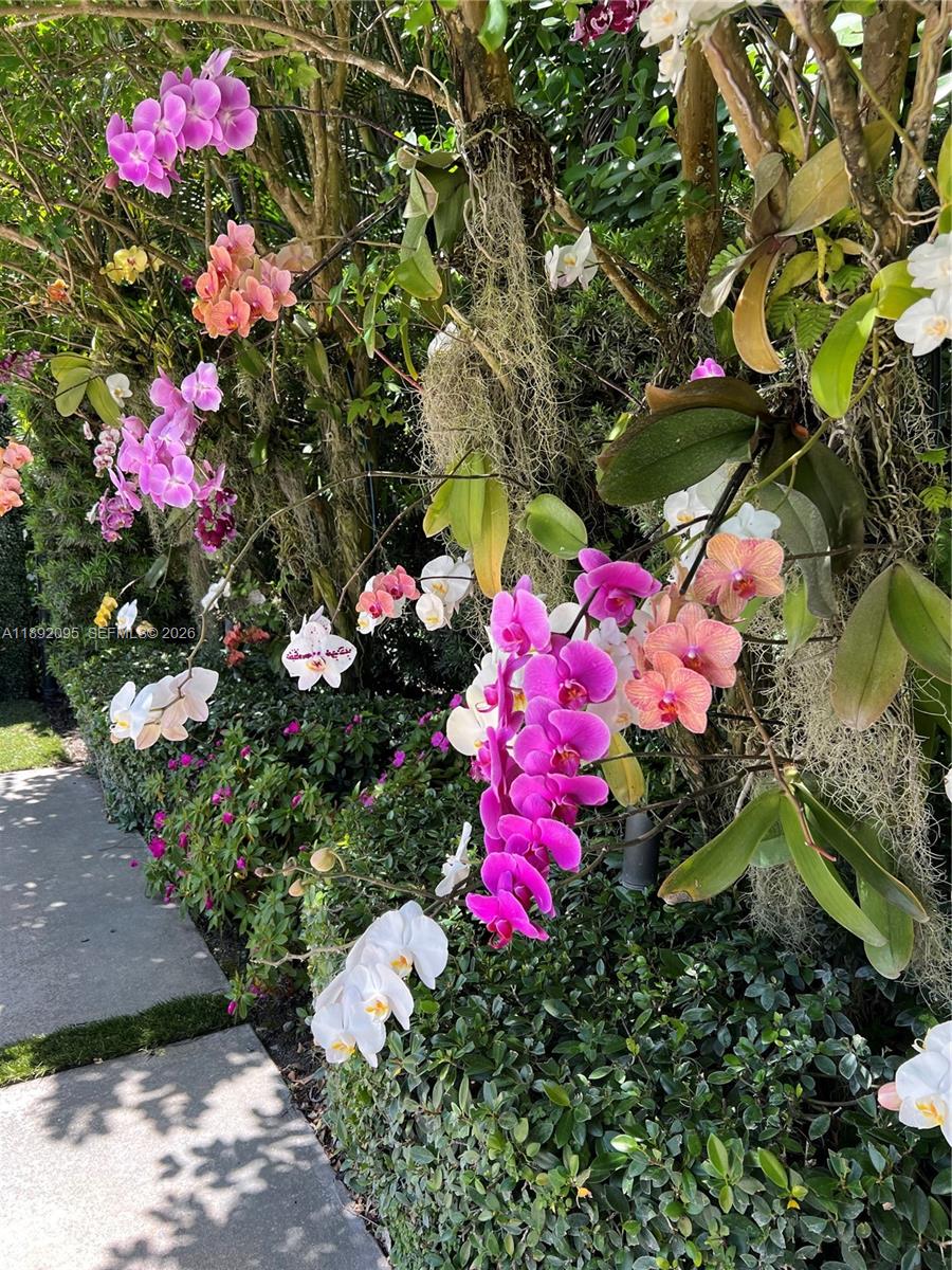 POINSETTIA ESTATES - Residential