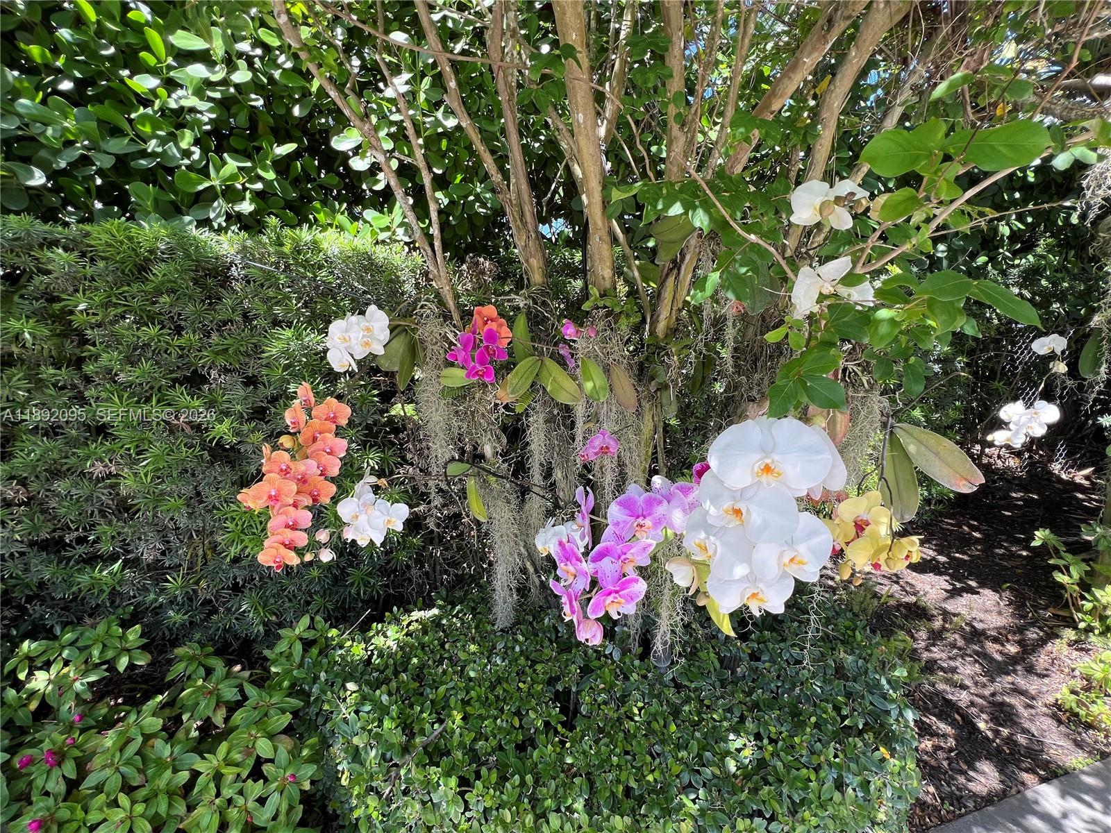 POINSETTIA ESTATES - Residential