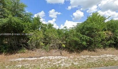 Take advantage of this fantastic opportunity to create your dream home on a spacious half-acre residential lot. Conveniently, you'll enjoy easy access to Fort Myers and all its amenities. Nestled in a peaceful neighborhood, this land offers a serene environment perfect for building the home you've always envisioned. Start planning your future today!