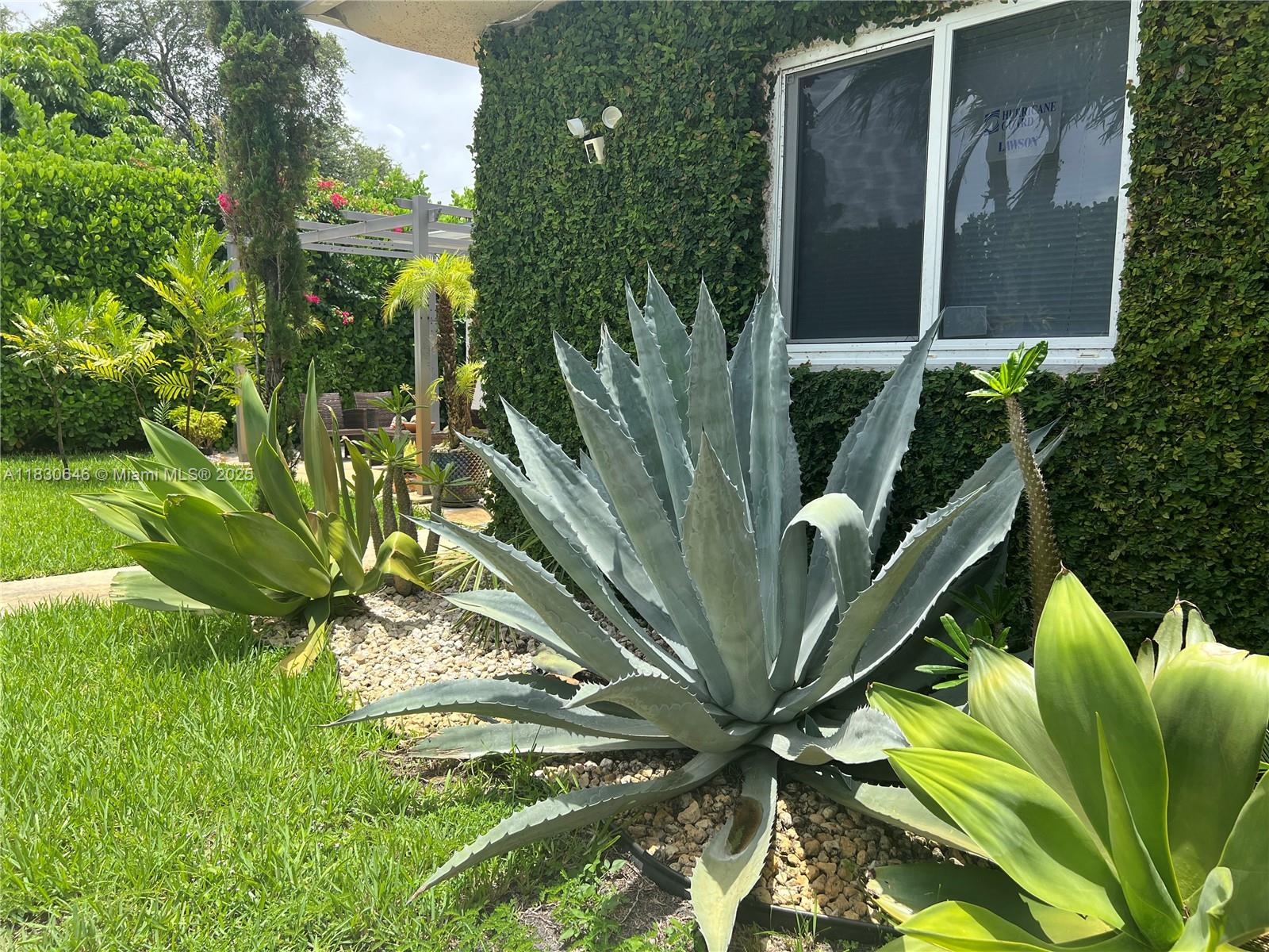 323 NW 105th St