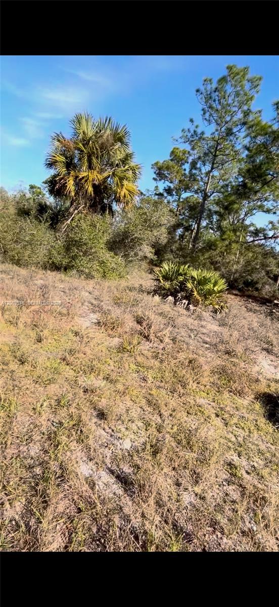 Lehigh Acres Unit 4 - Land