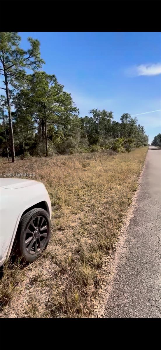 Lehigh Acres Unit 4 - Land