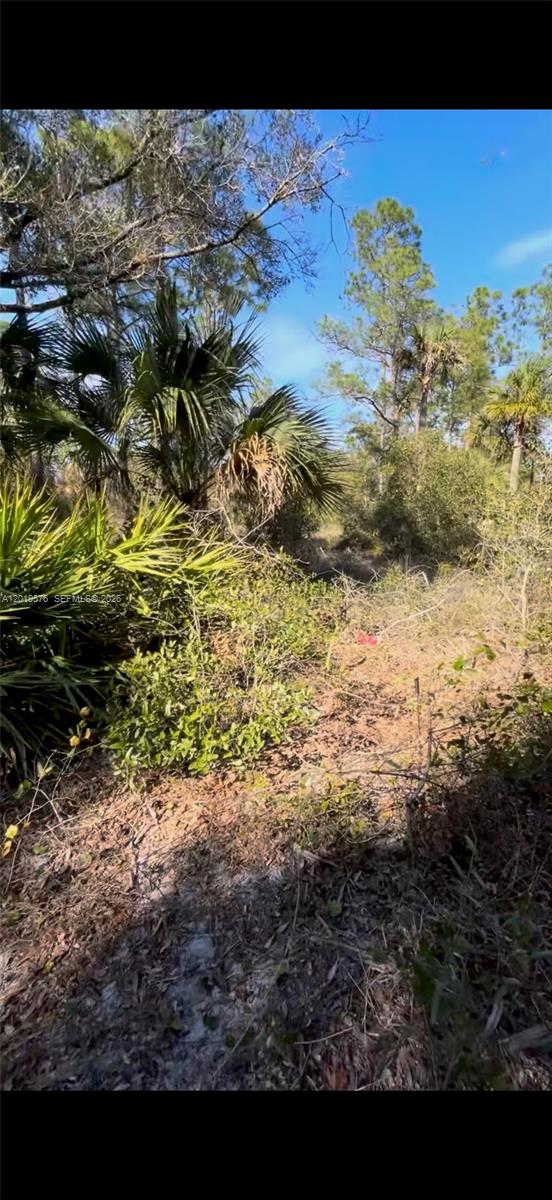 Lehigh Acres Unit 4 - Land
